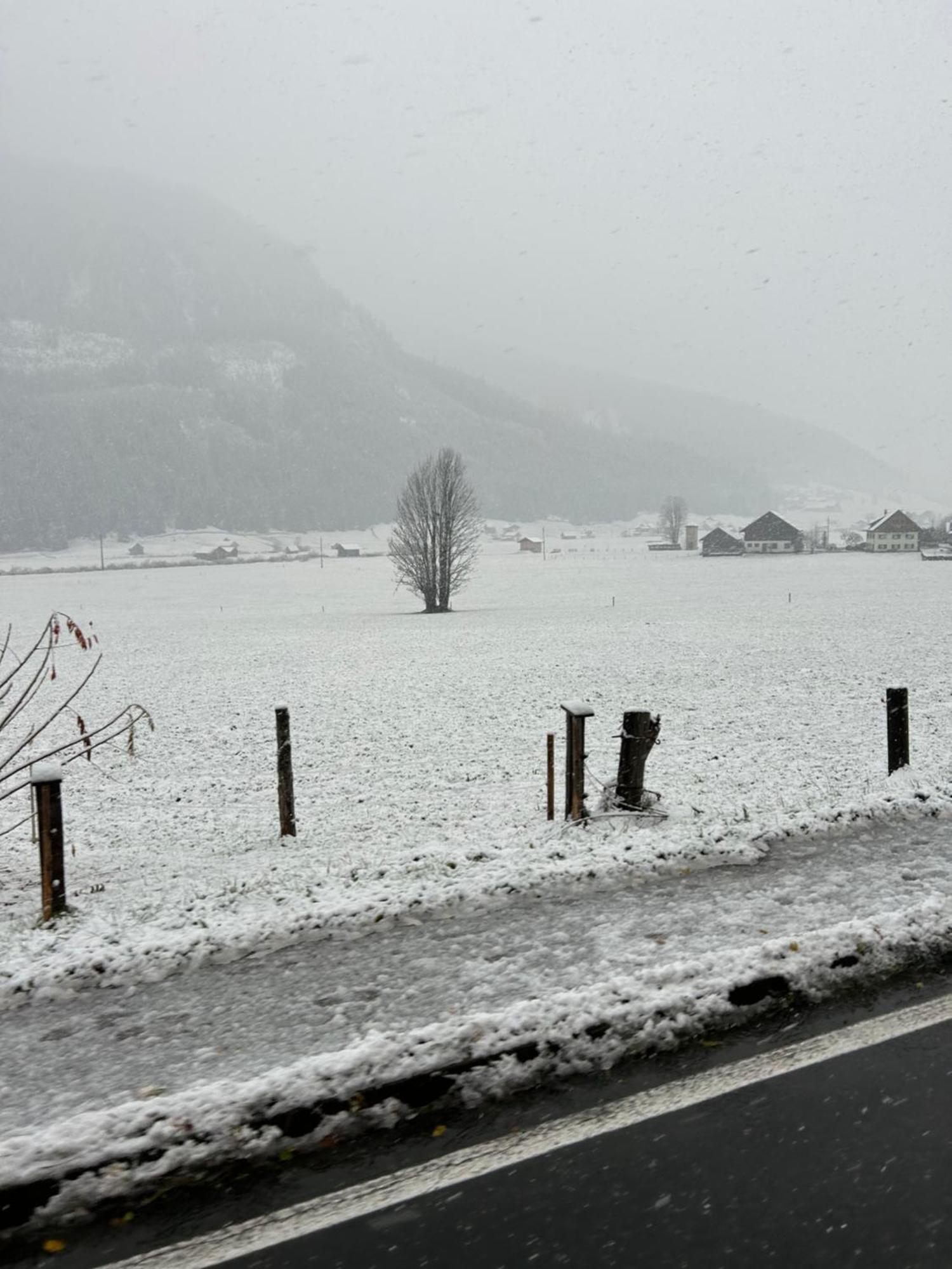 Ferienwohnungen Hager Gosau Exterior photo